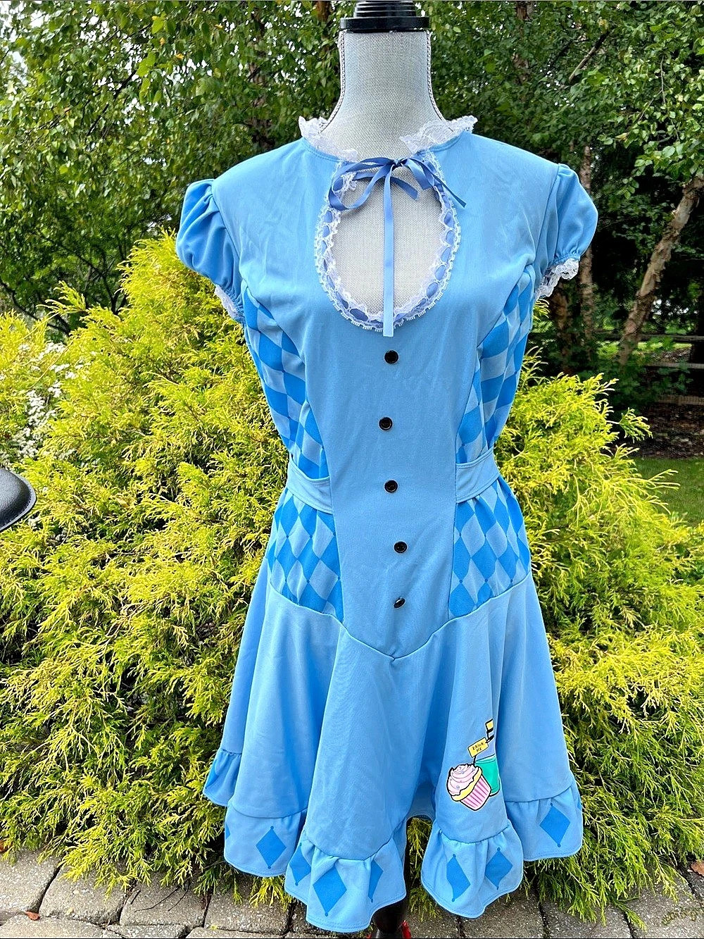Sweet Alice Alice in Wonderland Halloween Costume Size XXL
